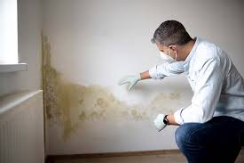 Best Mold Prevention Services  in Hauppauge, NY